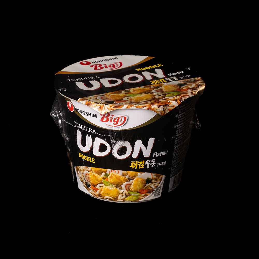 Fast noodle Udon tempura